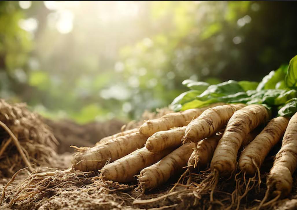 Tongkat Ali 200:1 extract 60 caps (2 month supply)